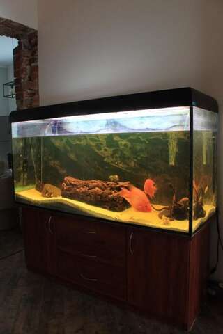 Апартаменты Apartamentai Kauno centre Каунас Апартаменты Делюкс-37